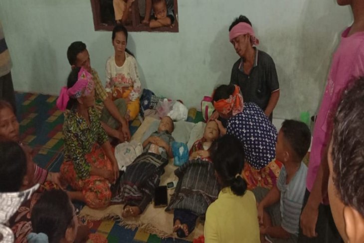 fechar-se crianças mãos aguarde estilingue para tiro plantar sementes para  dentro floresta. conceito, crescendo floresta de tiroteio estilingues com  sementes. alvo alvo, Caçando ou usar estilingue Como armas ou jogar jogos.  22588281