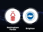 Nottingham vs Brighton