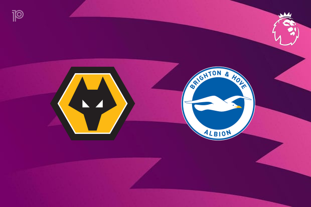 Wolves vs Brighton