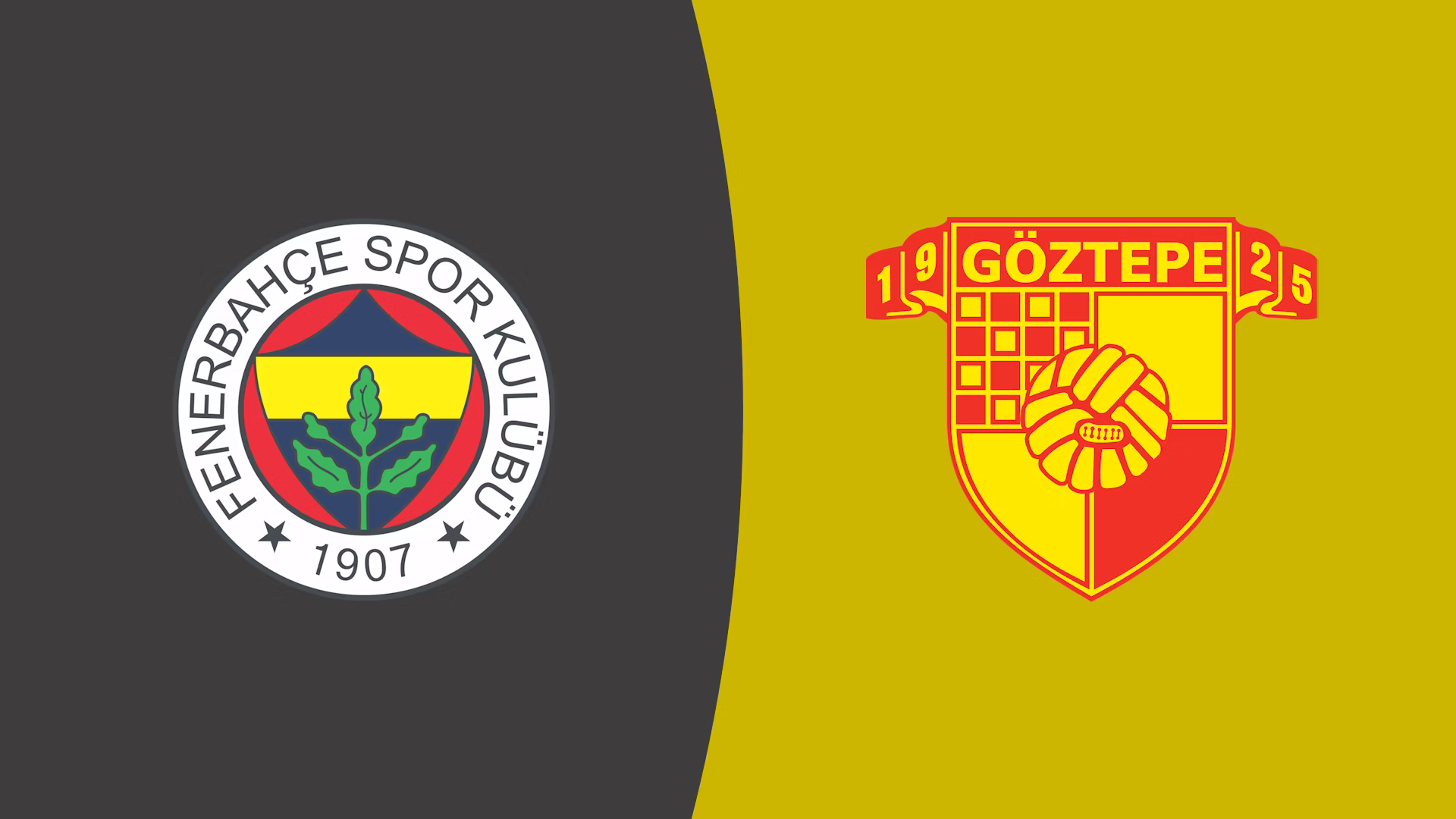 Fenerbahce vs Goztepe SK