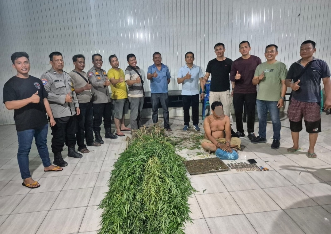 IMG-20260518-WA0002