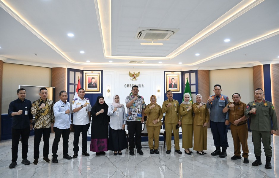 Gubsu-Menerima_Audiensi_Plt_Bupati_Langkat_1_jpg